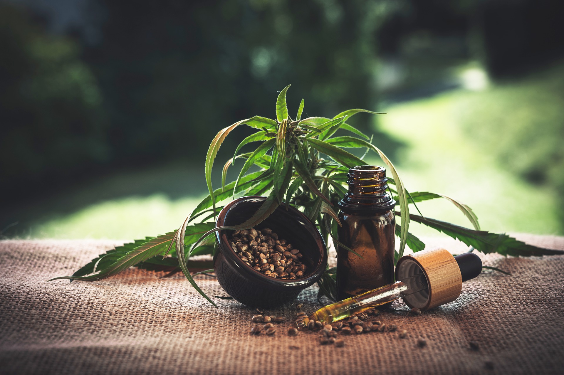 Peut-on détecter le CBD lors d’un dépistage de drogue ?