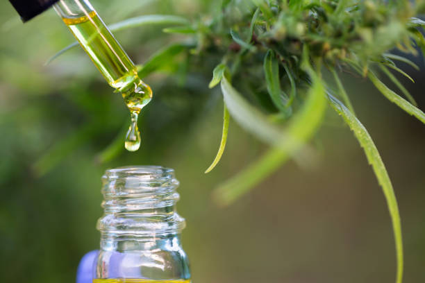 Législation sur le CBD en Suisse, les produits autorisés